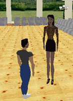 Animated Characters or "Avatars"