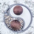 Hamilton Chinese Association Presents – Qigong/Tai Chi with danceScape