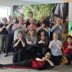 danceFLOW Qigong/Tai Chi Workshop with Hamilton Chinese Association