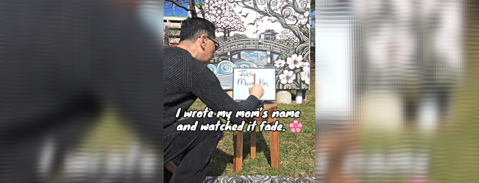 🌸 The Sakura Project