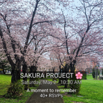 🌸 The Sakura Project