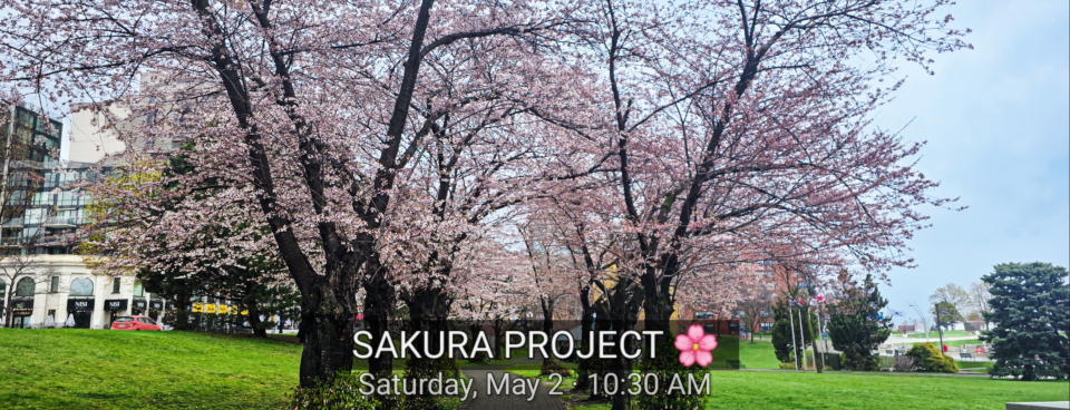 🌸 The Sakura Project